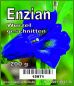 Preview: Enzian Wurzel 200 g